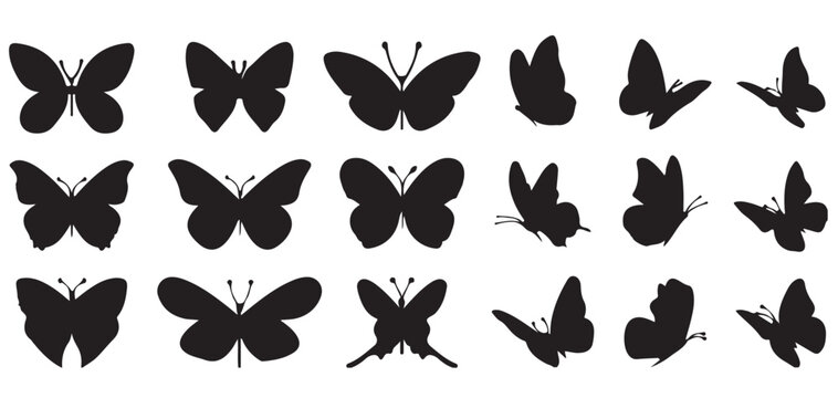 Butterfly Silhouette Icon Collection Black Vector Set vector illustrator eps10
