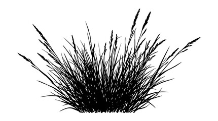 CAD tree lines,  Black grass, Black Cattails, Reeds, Vector Illustration, Isolated on White Background, Nature Elements, Botanical Icons Vector © MST