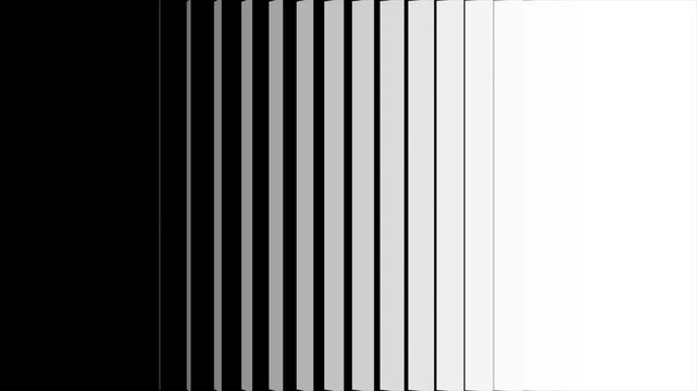Geometric vertical blinds wipe transition animation loop featuring smooth cascading black and white rectangular bars moving from left to right to transition from a white to black background