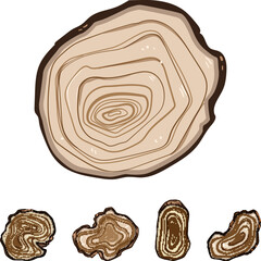 Obraz premium Tree rings displaying an organic pattern and natural progression, symbolizing environmental changes and lifespan in cut wooden sections, offering a graphic element for design