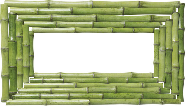 Green bamboo stalks picture frame border cutout isolated on transparent background PNG file for tropical design templates