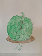 Custard Apple  fruit  © khema