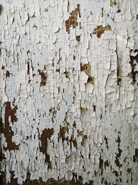 Old wooden board with sharp paint background . Beautiful texture and pattern panels.