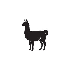 Obraz premium A Llama silhouette icon vector flat design.