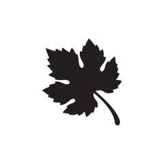 Fototapeta premium Vine leaf silhouette icon vector flat design.