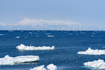 北海道野付半島から見る知床連山と流氷 冬の道東絶景観光素材 © ibuki