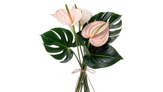 Elegant tropical bouquet with pink anthurium flowers and green palm leaves isolated on transparent background