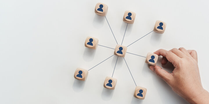 Business Delegation Strategy, Appointed Team Coordinator Managing Communication Flow Across Multiple Departments, Organizational Structure Showing Centralized Leadership, Responsibility Distribution