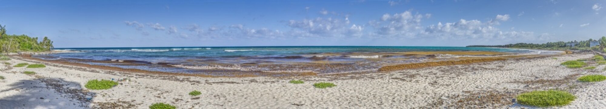 Remote Caribbean Beach with Sargassum at Playa Maroma Mexico