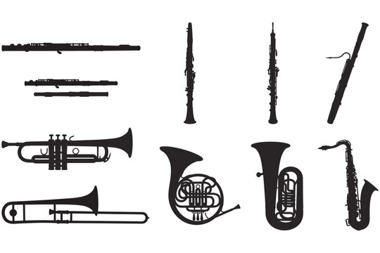 Set of brass musical instruments hanging on hooks