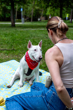 Woman playing with bull terrier during picnic in green park - joyful pet owner lifestyle and friendship moment
