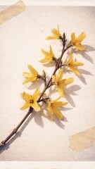 Obraz premium Yellow flowers on branch mobile wallpaper