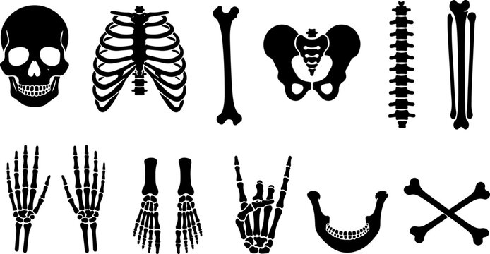 set of icons depicting various parts of the skeleton; Halloween icons