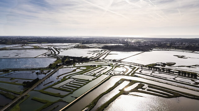 drone view of the salt marshes of Ile d Olonne, Vendee, France