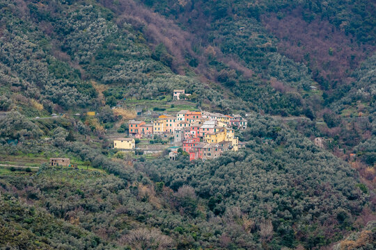 Typical colored houses of the Cinque Terre region in Italy