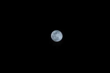 luna © Belen