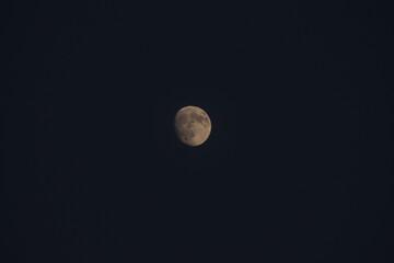 luna © Belen