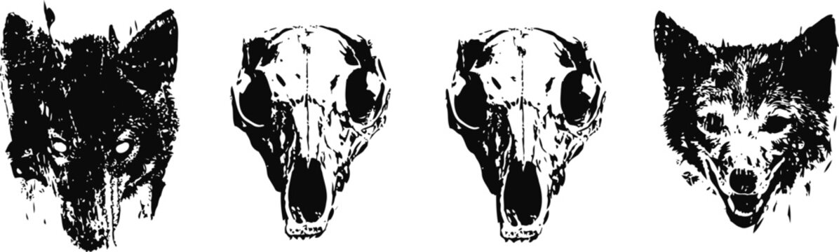 grunge wolf face and skull illustrations monochrome animal head art with distressed texture and detailed design