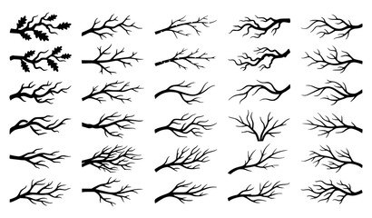 Obraz premium Tree Branch and Bare Twig Silhouette Vector Big Collection with Leaf Elements for Halloween Horror Themes Winter Layouts and Seasonal Botanical Graphic Designs