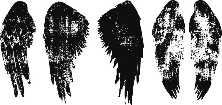 Grunge black wing silhouettes collection various bird feathers and wings in distressed vintage and textured shapes set
