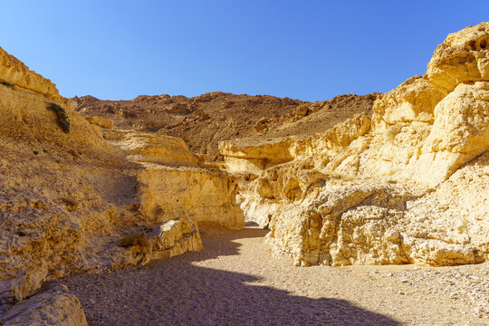 Desert landscape, inside Makhtesh (crater) Ramon