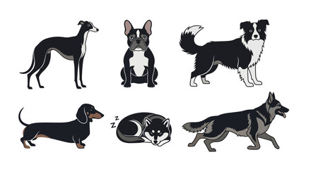 Set of Various Purebred Dog Breeds Collection © Rain
