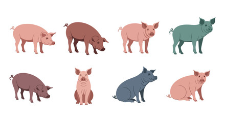 Set of Various Pig Breeds and Poses Cartoon Illustrations © Rain