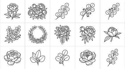Hand-drawn floral elements: peonies, eucalyptus branches, wreath. Botanical sketch, line art. © hafijatul