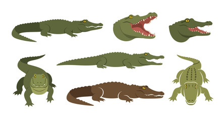 Fototapeta premium Set of Cartoon Crocodile and Alligator Illustrations in Various Poses