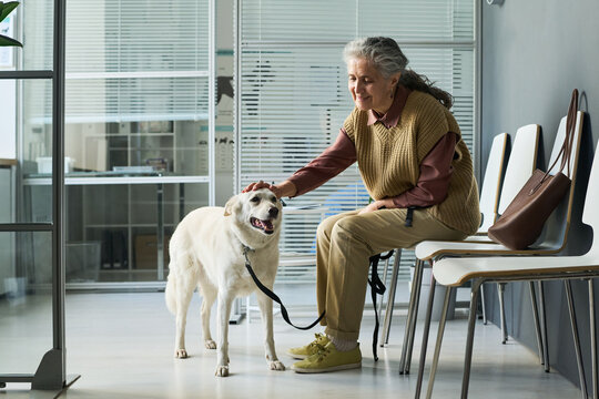 Senior Caucasian woman sitting in clinic waiting room, petting dog and holding leash during visit, showing companion animal care. Useful for veterinary, pet insurance, senior lifestyle