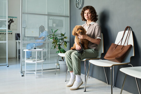 Caucasian young adult woman holding poodle while waiting in veterinary clinic, sitting calmly for pet appointment. Ideal for pet care marketing, veterinary services, animal health