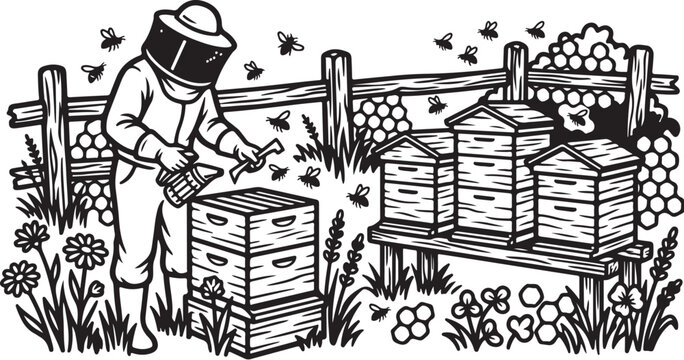 Beekeeper, beekeeping illustration, apiary vector, bee farm, insect care