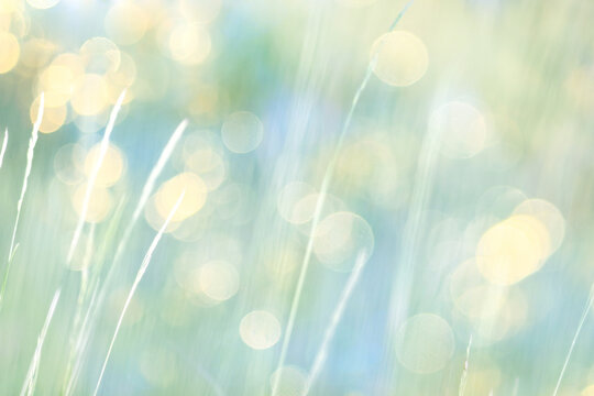 summer nature golden bokeh delicate soft color abstract background