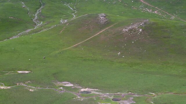 Green alpine meadows with small seasonal ponds and winding trails, Dasht e Laila, Kalam, Khyber Pakhtunkhwa, Pakistan