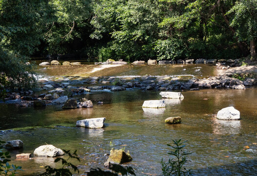 Flusslandschaft