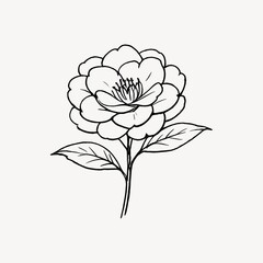 Obraz premium Elegant floral line art illustration.