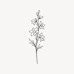 Obraz premium Minimalist line drawing of a delicate flower stem with blossoms.