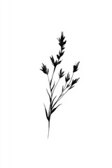 Obraz premium Minimalist black ink illustration of a delicate flower stem on white.