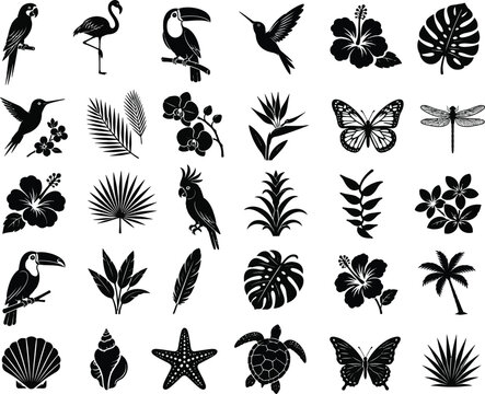 Black silhouettes of tropical birds, flowers, leaves, insects and sea creatures