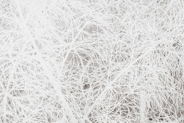 Fototapeta premium Horizontal macro of a delicate abstract pattern created by tangled thin white dried plant branches forming a complex natural network on a clean background