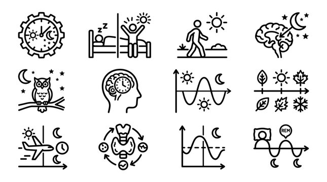 Circadian Rhythm Icons: Sleep, Wake, Brain, Nature, Travel, Health