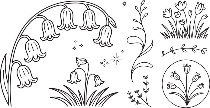 Beautiful bluebell flower line art vector set with stars minimal spring botanical lily valley illustrations elements collection for cute tattoo design