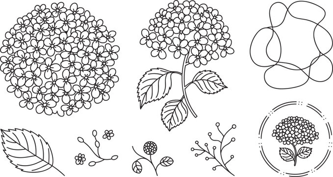 Beautiful hydrangea flower line art vector set minimal summer botanical floral illustrations elements collection for elegant circular badge tattoo design
