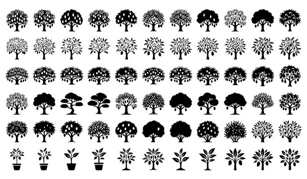 Black Mango Tree Botanical Icon Set for Orchard Landscaping and Tropical Nature Designs
