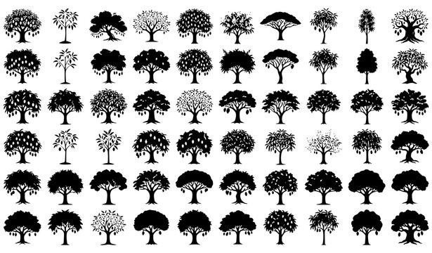 Tropical Mango Tree Silhouette Bundle Black Botanical Garden Vector Collection