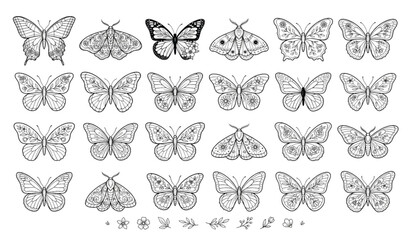 Vintage butterfly line art vector set with decorative moth wings and floral doodle collection on white background © DhoniChandra