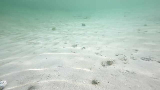 Shallow underwater sandy seabed with pebbles and shells in green tinted ocean water, natural marine background, 4K_1_15s_0,08_IMG_0272_0,50_20260222.MOV.mov