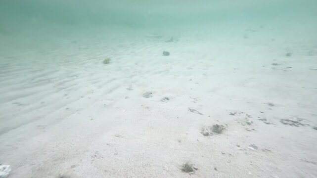 Shallow underwater sandy seabed with pebbles and shells in green tinted ocean water, natural marine background, 4K_2_17s_0,23_IMG_0272_0,50_20260222.MOV.mov