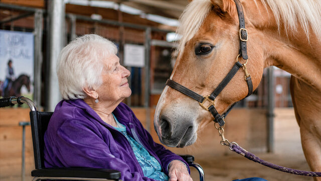 Elderly woman in wheelchair looking into gentle eyes of therapy horse ranch