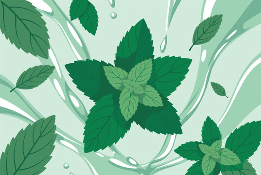 Fresh green mint leaves floating in a splashing water stream creating a refreshing and cool herbal tea or mojito concept.